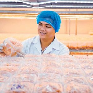 [OUTSTANDING ROLE MODELS] TRẦN TÀI – FOUNDER AND CEO OF VIET NAM BIOLOGICAL MUSHROOM COMPANY LTD VINABIOMUSH: A PIONEER OF INDUSTRY 4.0 MUSHROOM CULTIVATION