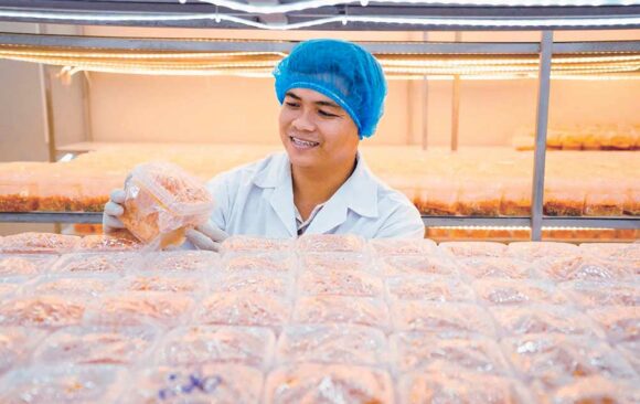 [OUTSTANDING ROLE MODELS] TRẦN TÀI – FOUNDER AND CEO OF VIET NAM BIOLOGICAL MUSHROOM COMPANY LTD VINABIOMUSH: A PIONEER OF INDUSTRY 4.0 MUSHROOM CULTIVATION