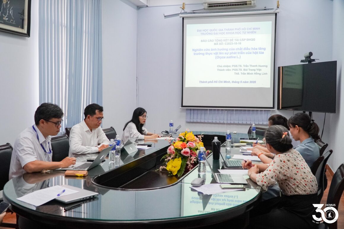 [VNUHCM S&T PROJECT EVALUATION] THE EFFECTS OF PLANT GROWTH REGULATORS ON RICE GRAIN DEVELOPMENT