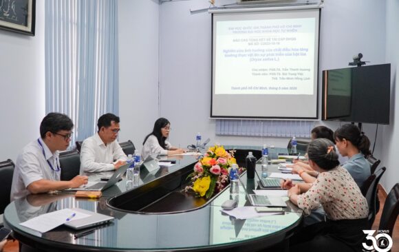 [VNUHCM S&T PROJECT EVALUATION] THE EFFECTS OF PLANT GROWTH REGULATORS ON RICE GRAIN DEVELOPMENT