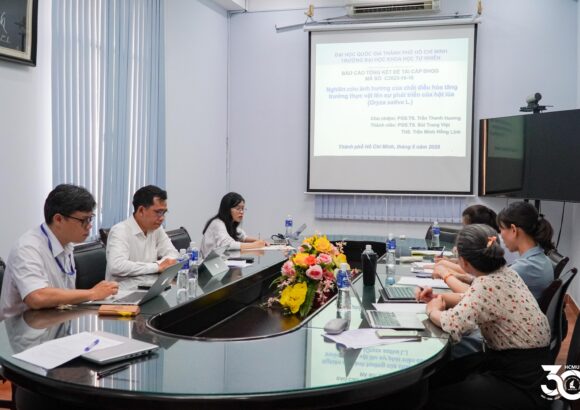 [VNUHCM S&T PROJECT EVALUATION] THE EFFECTS OF PLANT GROWTH REGULATORS ON RICE GRAIN DEVELOPMENT